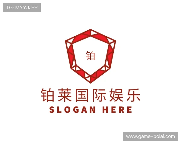 关于铂莱国际娱乐